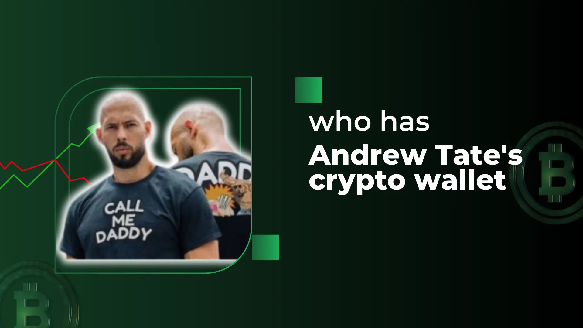 who has Andrew Tate's crypto wallet