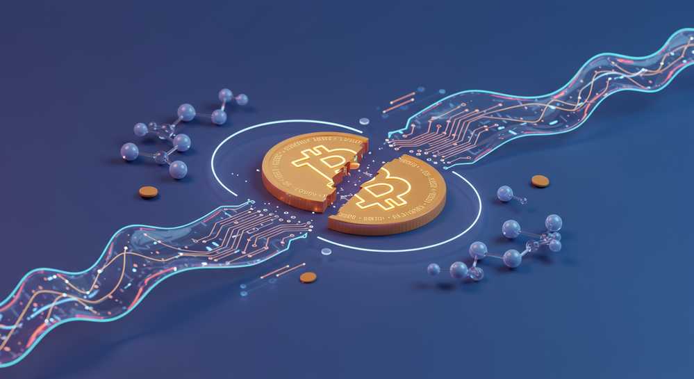 Understanding the Bitcoin Halving Mechanism